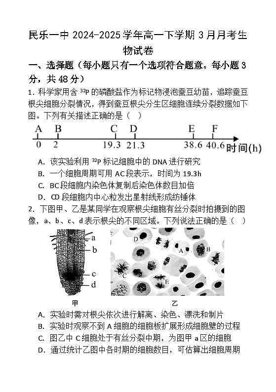 甘肃省张掖市民乐一中2024-2025学年高一下学期3月月考生物学试卷(含答案)第1页