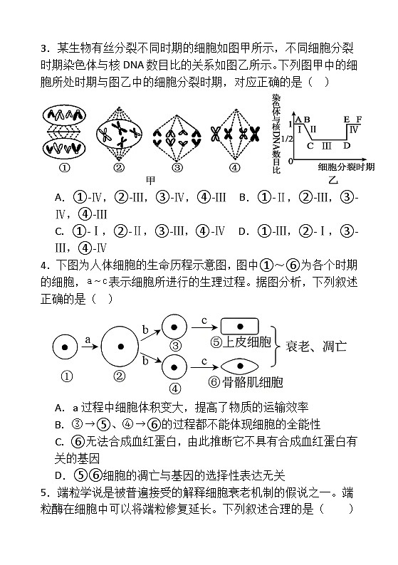 甘肃省张掖市民乐一中2024-2025学年高一下学期3月月考生物学试卷(含答案)第2页