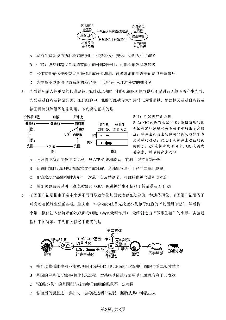 重庆市第一中学校2025届高三下学期2月开学考试生物试卷(含答案)第2页