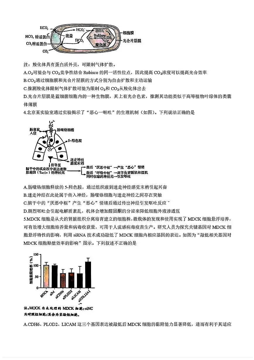 生物-湖南省长沙市长郡中学2025届高三下学期月考八测试含答案第2页
