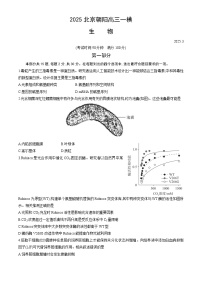 北京市朝阳区2025届高三下学期一模试题 生物 含答案
