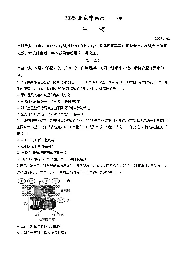 北京市丰台区2025届高三下学期3月一模试题 生物 含解析第1页