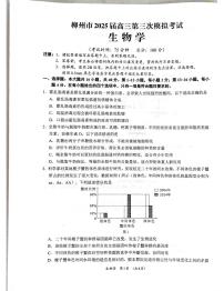 广西省柳州市2025届高三第三次模拟考试生物+答案