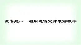 人教版高中生物必修2第一章遺傳因子的發(fā)現(xiàn)微專題一利用遺傳定律求解概率課件