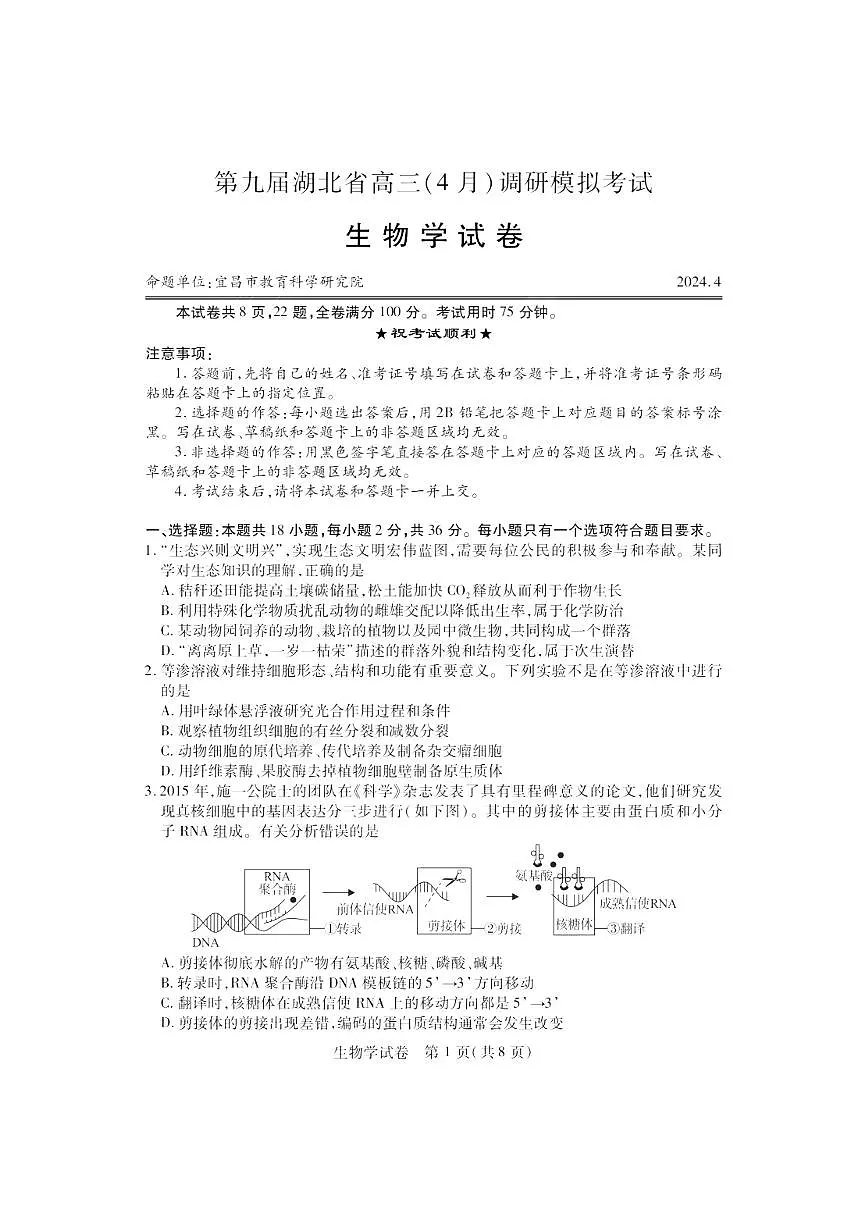 2024届湖北四调高三4月调研模拟考试-生物试卷(含答案)第1页