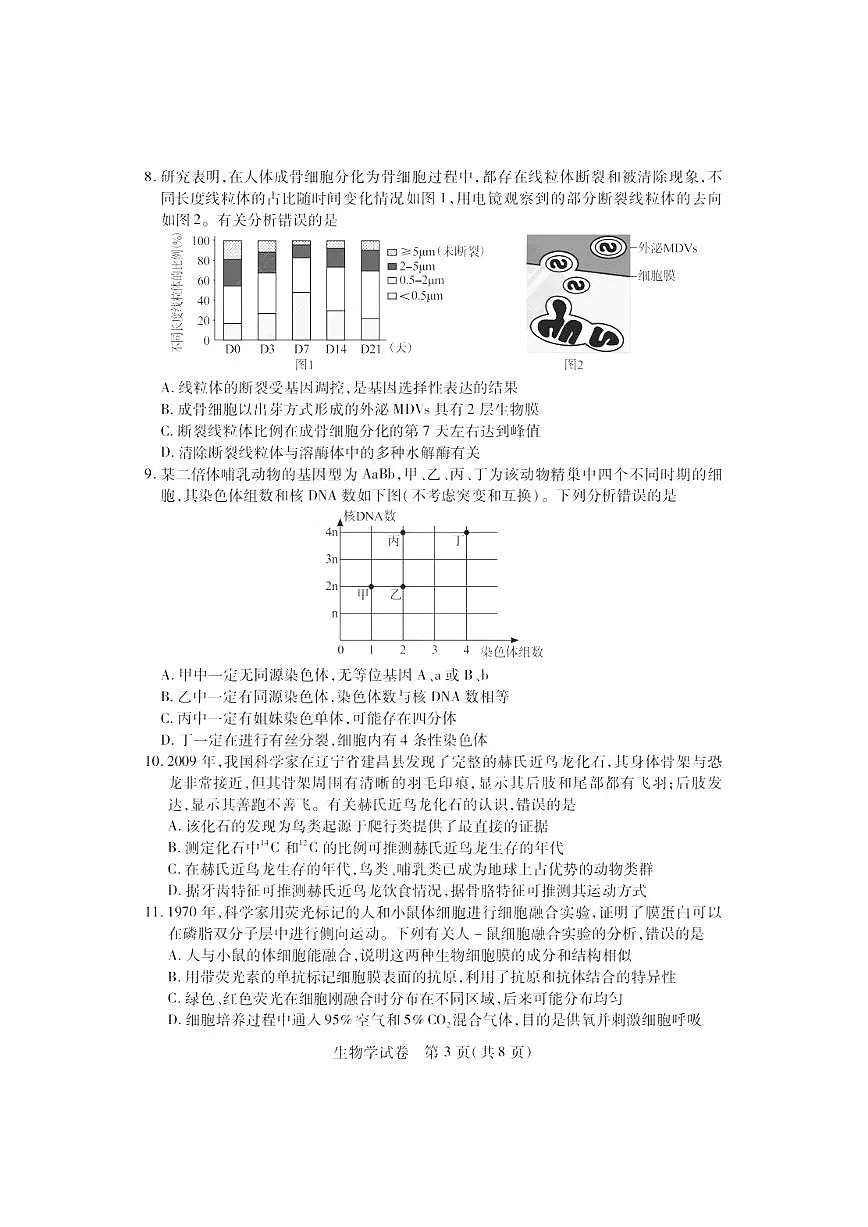 2024届湖北四调高三4月调研模拟考试-生物试卷(含答案)第3页