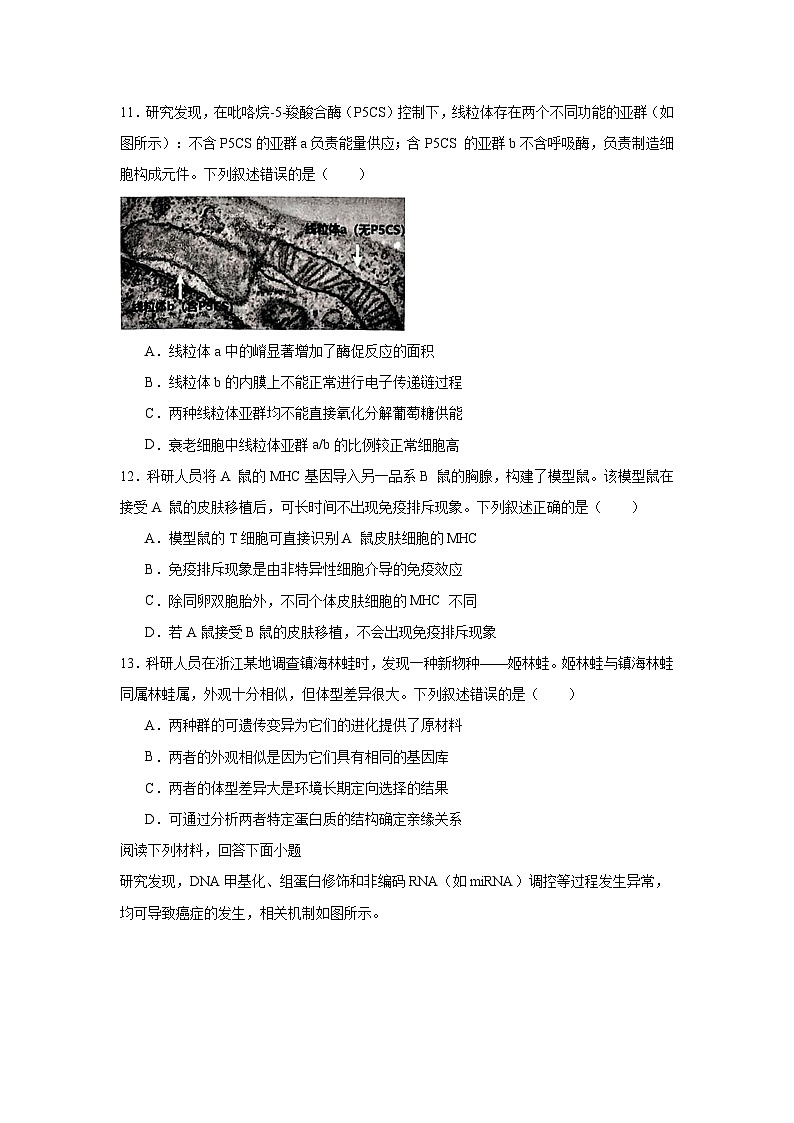 2025届浙江省衢州、丽水、湖州高三下学期4月教学质量测试生物试题(无答案)第3页