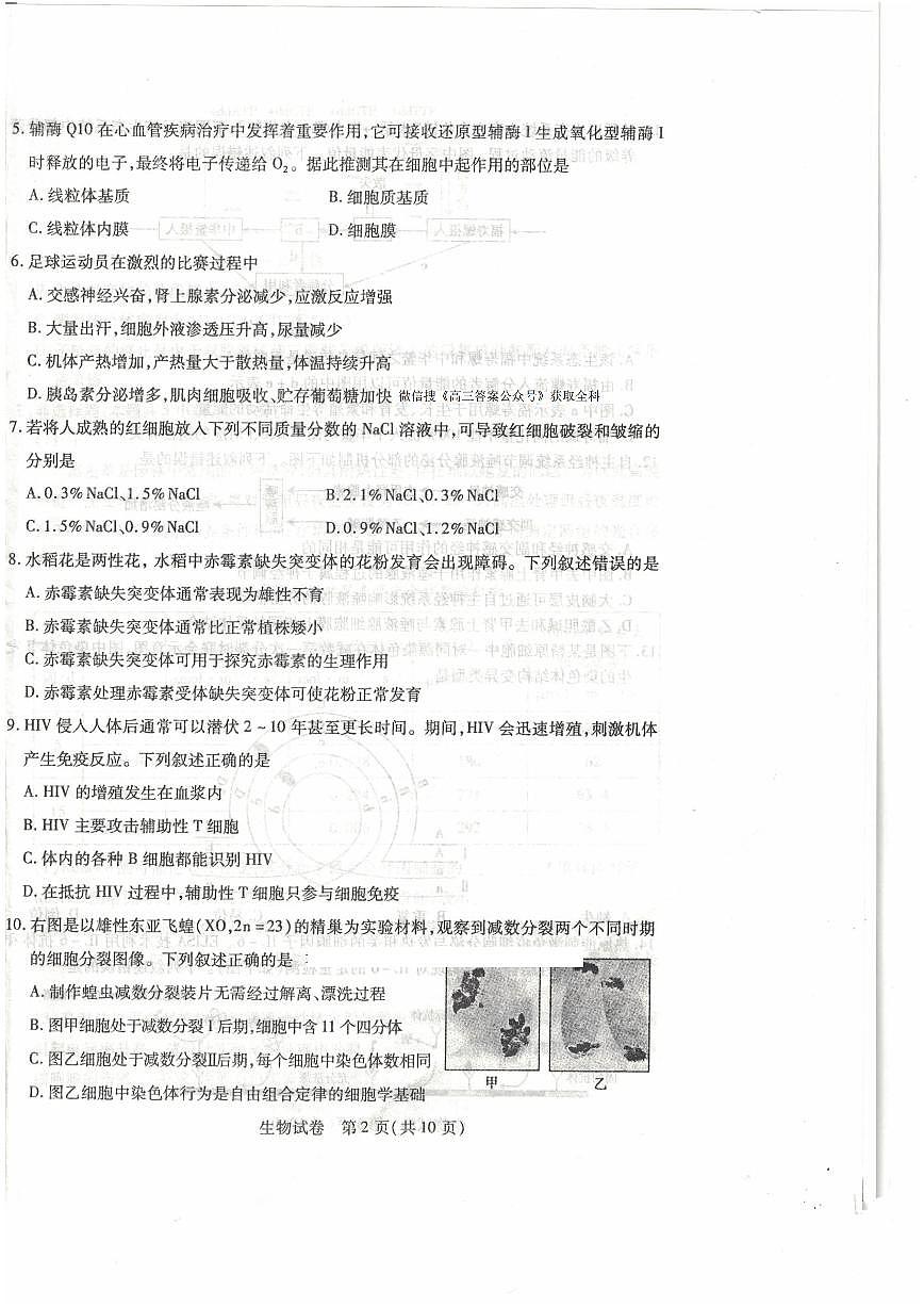 黑龍江省包頭市2025屆高高考模擬第二次模擬-生物試題+答案第2頁
