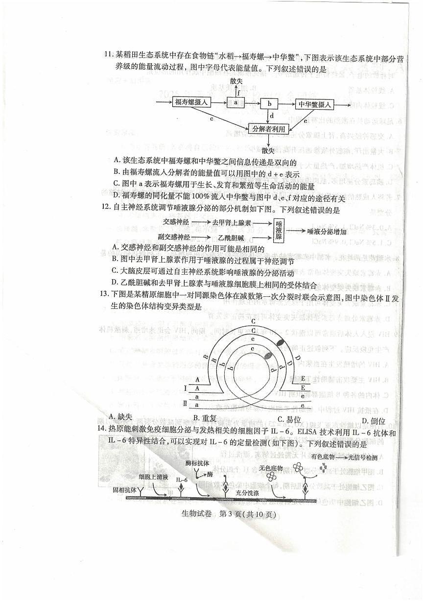 黑龍江省包頭市2025屆高高考模擬第二次模擬-生物試題+答案第3頁
