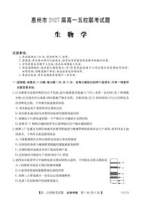 广东省惠州市五校2024-2025学年高一下学期4月联考生物试卷（PDF版附解析）