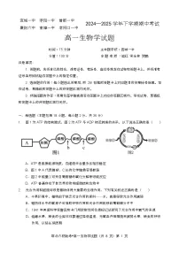 湖北省鄂北六校2024-2025学年高一下学期期中联考生物试卷(Word版附答案)