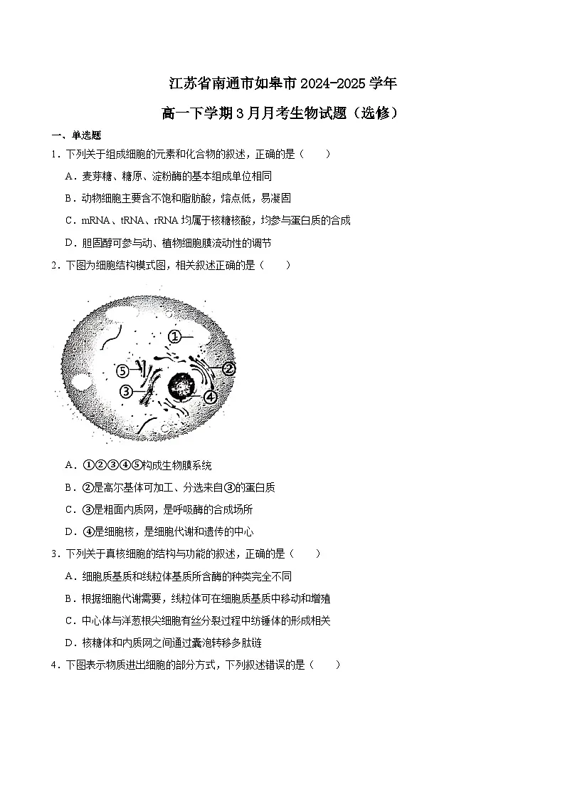 江苏省南通市如皋市2024-2025学年高一下学期教学质量调研(一)生物(选修)试卷(Word版附答案)第1页