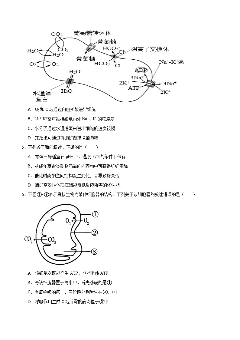 江苏省南通市如皋市2024-2025学年高一下学期教学质量调研(一)生物(选修)试卷(Word版附答案)第2页
