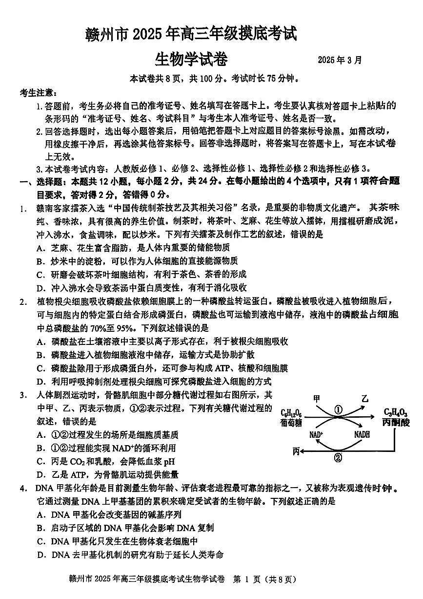 江西省赣州市2025年高三年级3月摸底考试生物试卷(含答案)第1页