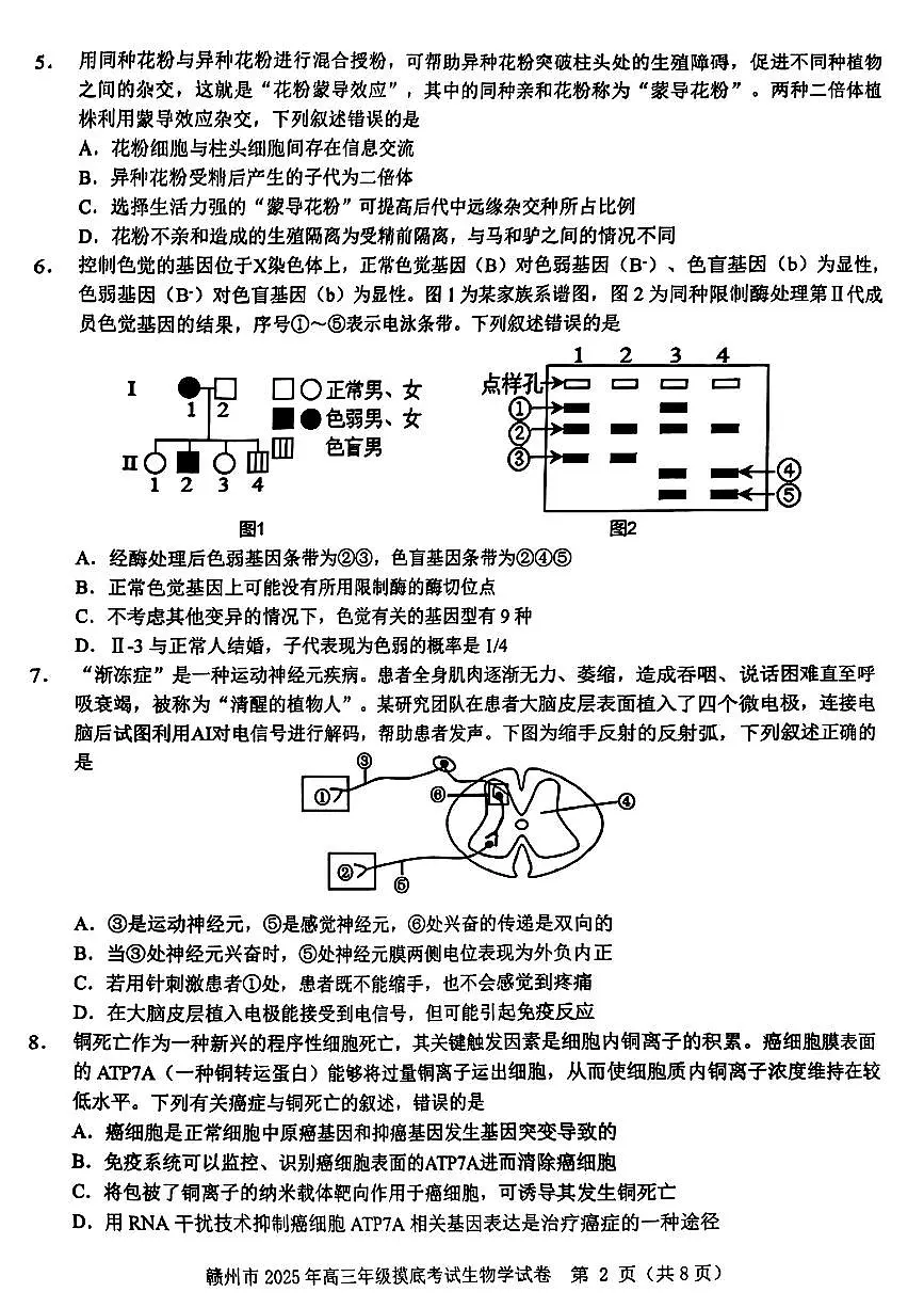 江西省赣州市2025年高三年级3月摸底考试生物试卷(含答案)第2页