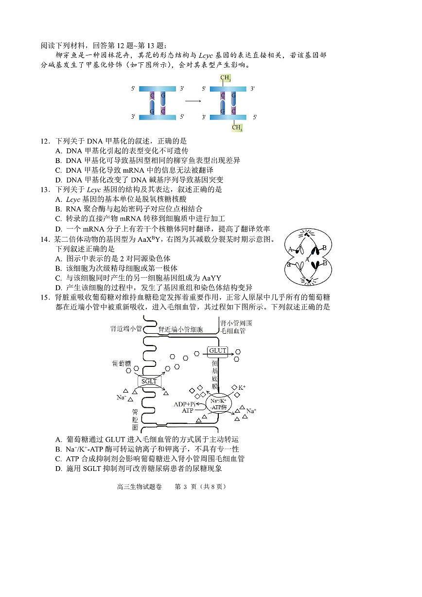 2024届浙江(湖洲、丽水、衢洲)高三11月一模-生物试题(含答案)第3页