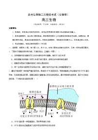 2025高考二模试卷生物（安徽卷）含解析