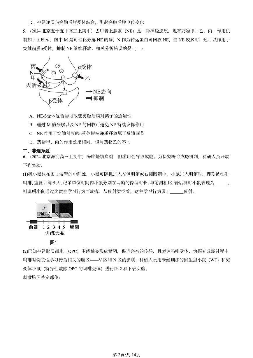 2022-2024北京重点校高三(上)期中真题生物汇编:神经冲动的产生和传导第2页