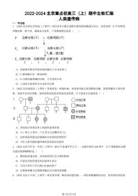 2022-2024北京重点校高三（上）期中真题生物汇编：人类遗传病