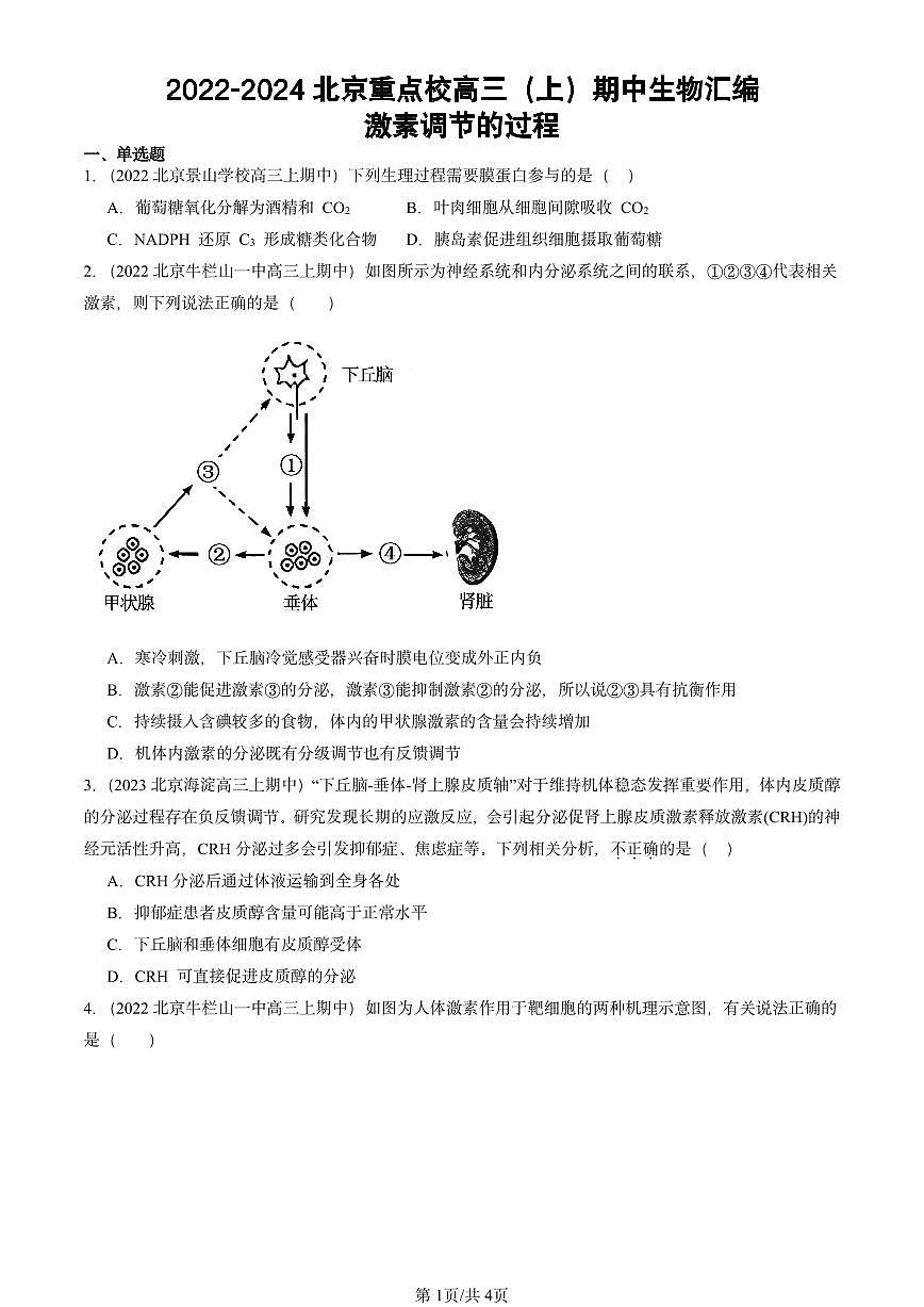 2022-2024北京重点校高三(上)期中真题生物汇编:激素调节的过程第1页