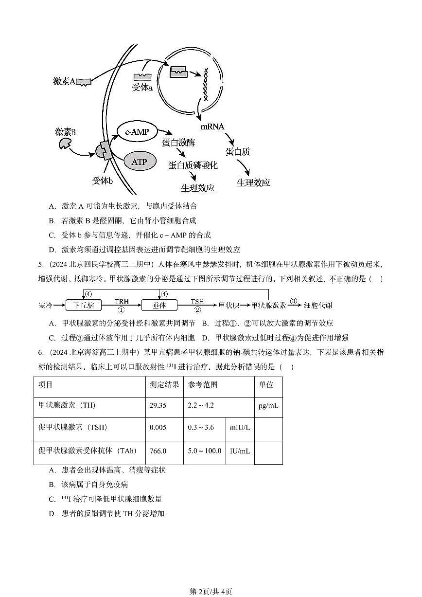 2022-2024北京重点校高三(上)期中真题生物汇编:激素调节的过程第2页