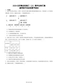 2024北京重点校高三（上）期中真题生物汇编：遗传因子的发现章节综合