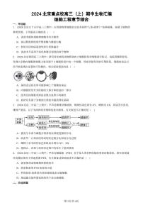 2024北京重点校高三（上）期中真题生物汇编：细胞工程章节综合