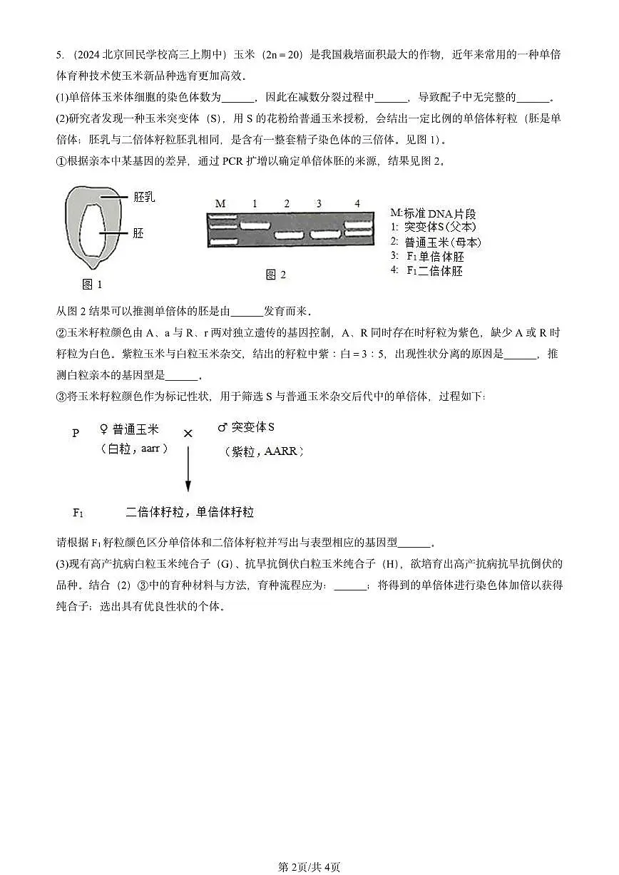 2024北京重点校高三(上)期中真题生物汇编:细胞工程章节综合第2页