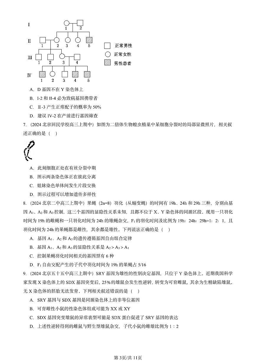 2024北京重點(diǎn)校高三（上）期中真題生物匯編：基因和染色體的關(guān)系章節(jié)綜合第3頁