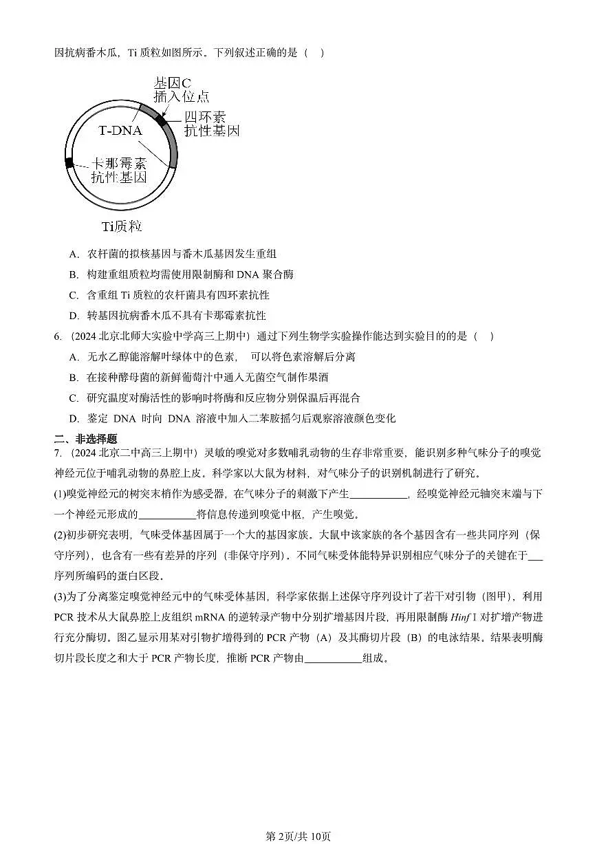2024北京重点校高三(上)期中真题生物汇编:基因工程章节综合第2页