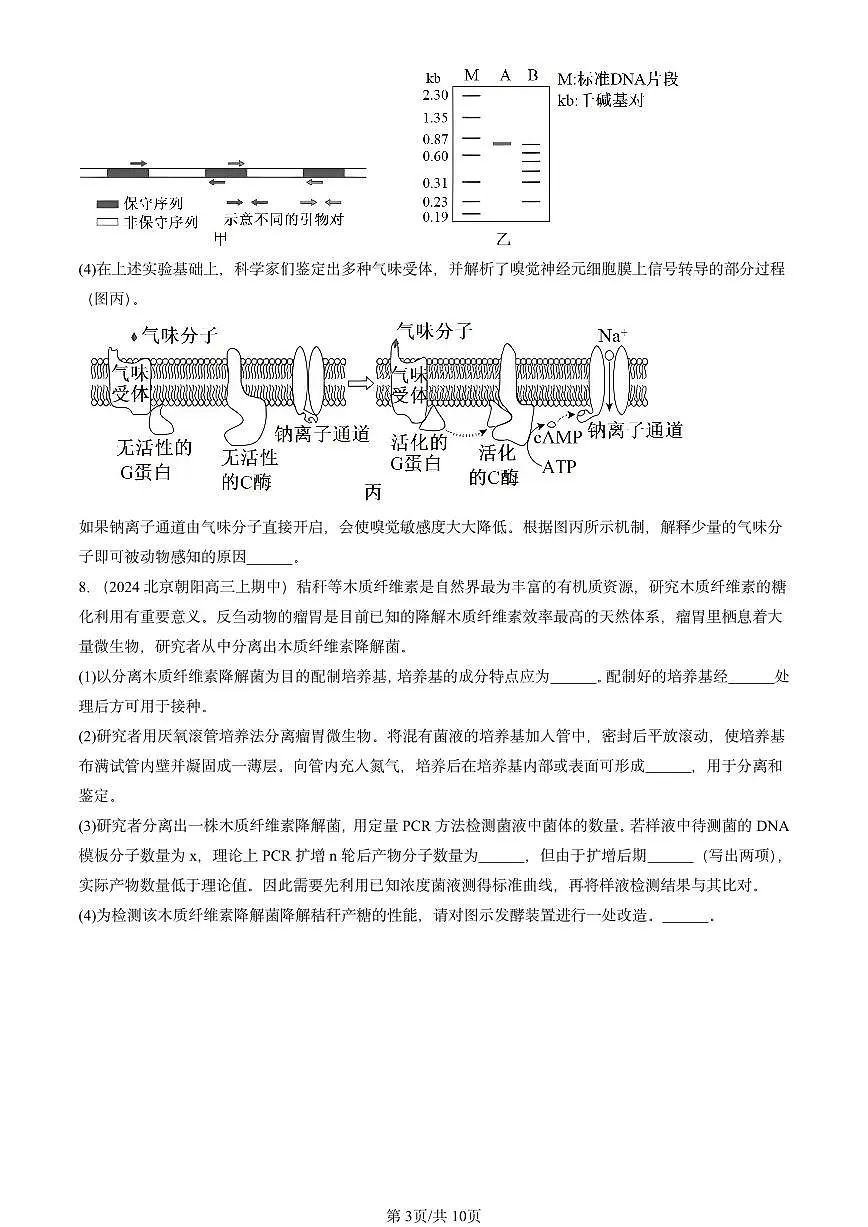2024北京重点校高三(上)期中真题生物汇编:基因工程章节综合第3页
