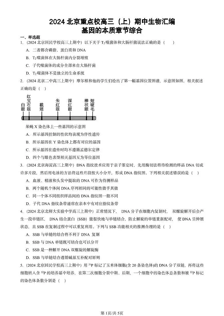 2024北京重点校高三(上)期中真题生物汇编:基因的本质章节综合第1页