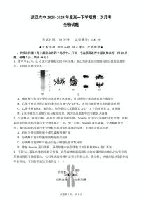 湖北省武汉市第六中学2024-2025学年高一下学期3月月考 生物试卷（含答案）