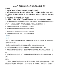 安徽省合肥市2024届高三下学期二模生物试题 含解析