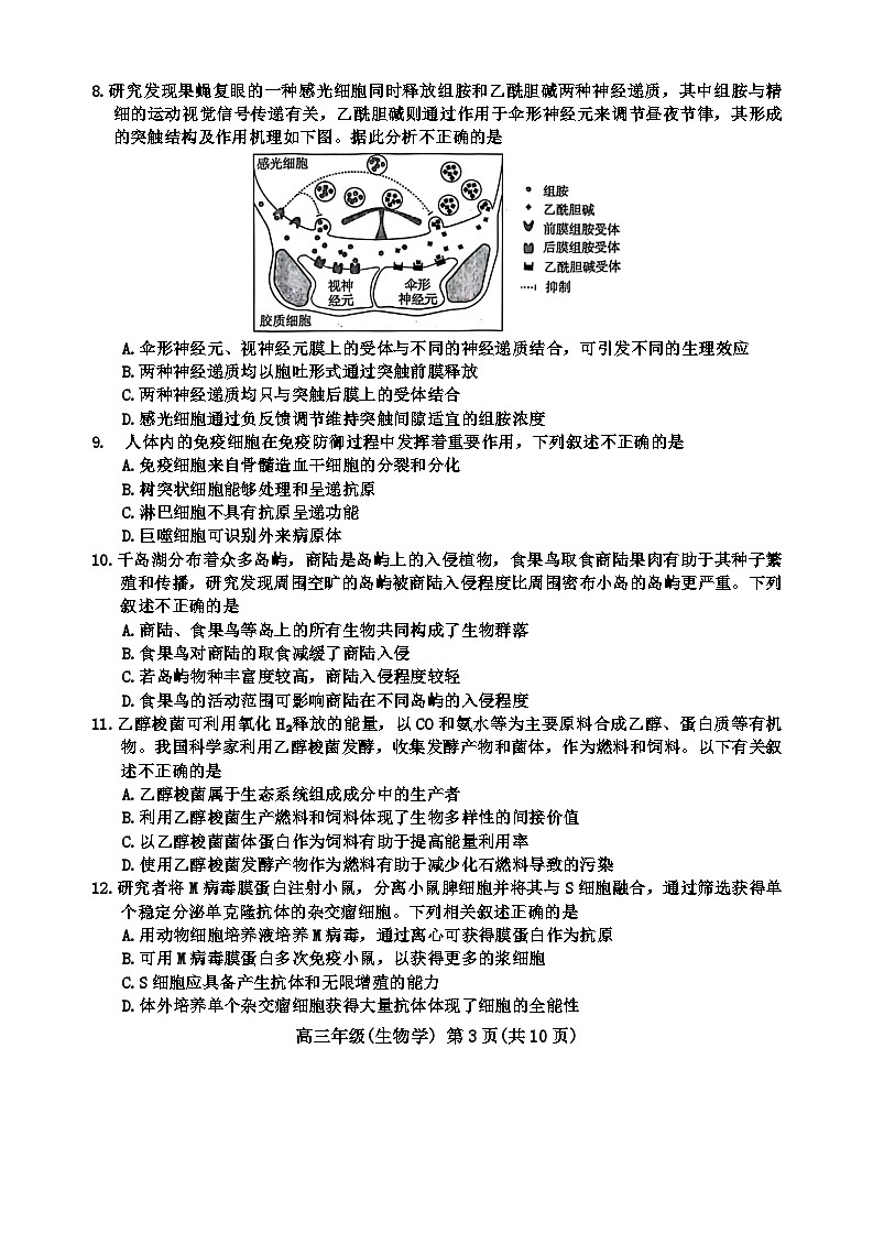 北京市海淀區(qū)2024屆高三下學期二模試題 生物 含答案第3頁