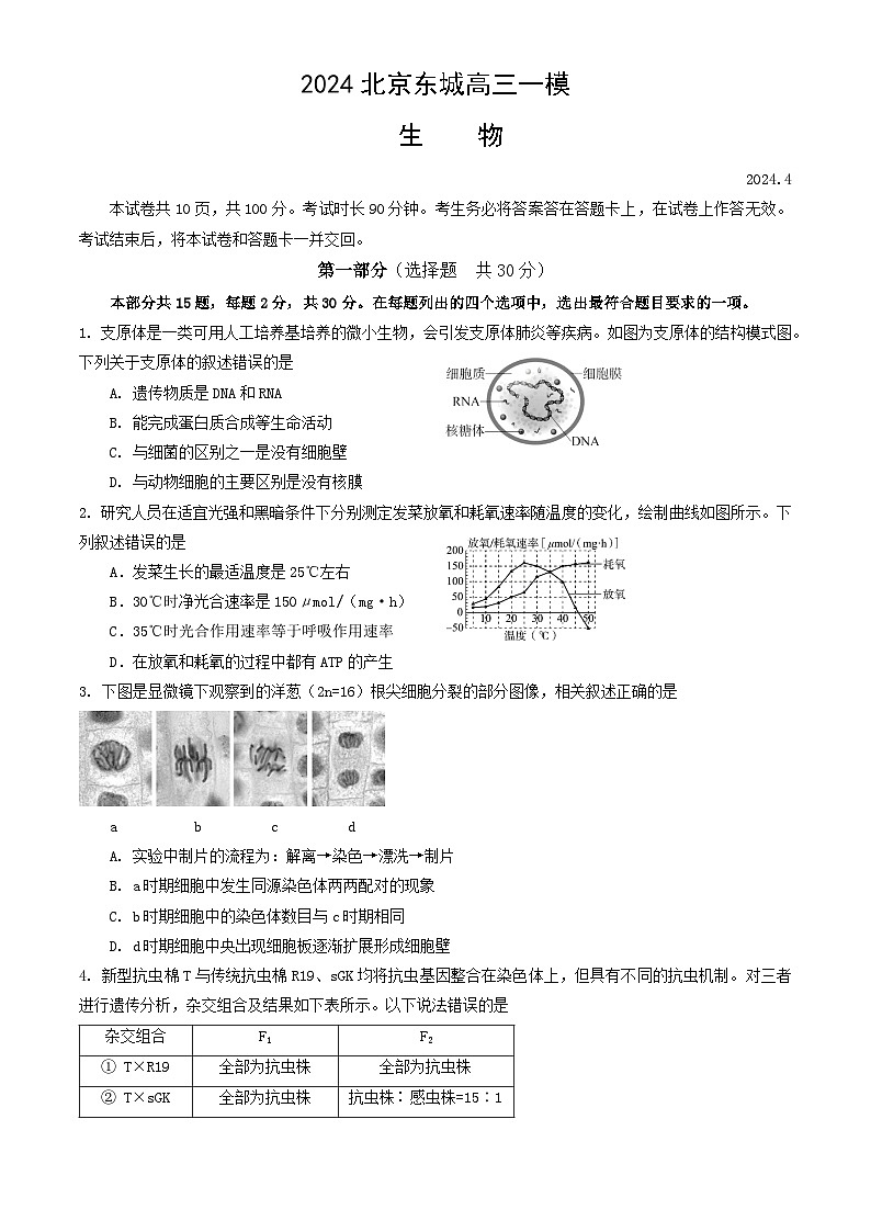 北京市东城区2024届高三下学期4月一模试题 生物 含答案第1页