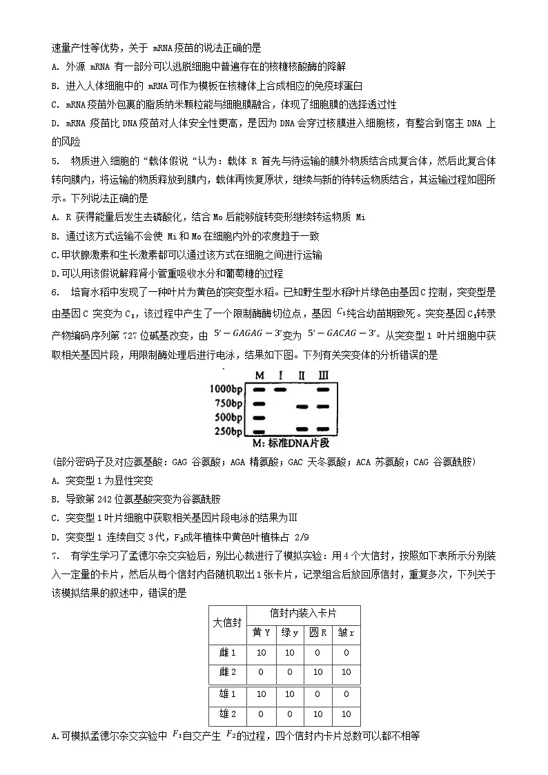湖北省十一校2023-2024学年高三上学期第一次联考试题 生物 含答案第2页