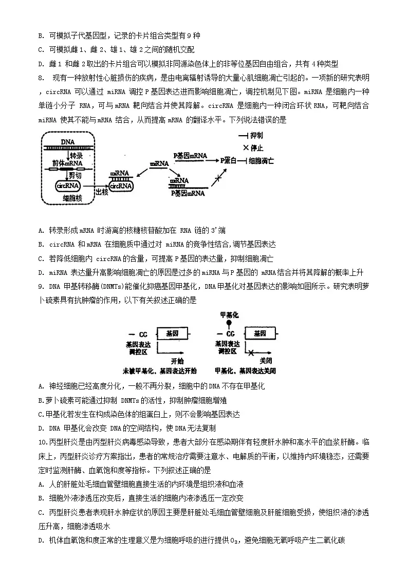 湖北省十一校2023-2024学年高三上学期第一次联考试题 生物 含答案第3页