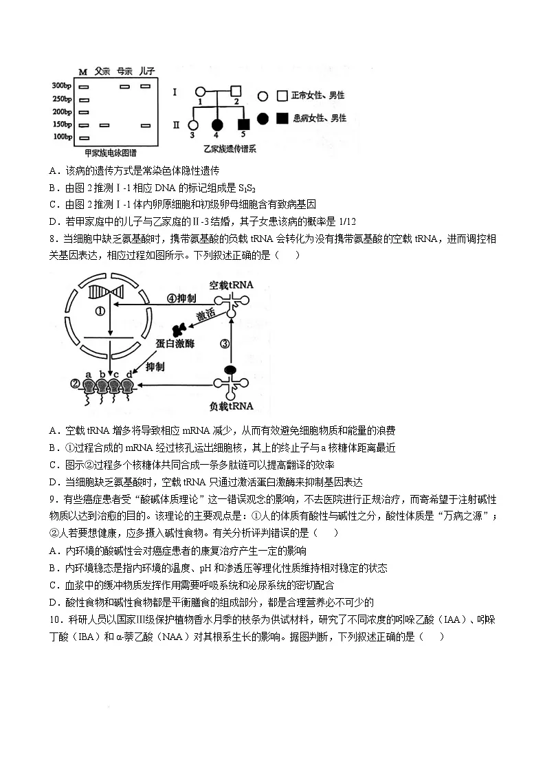 湖北省新八校协作体2024-2025学年高三下学期2月联考生物试卷 含解析第3页