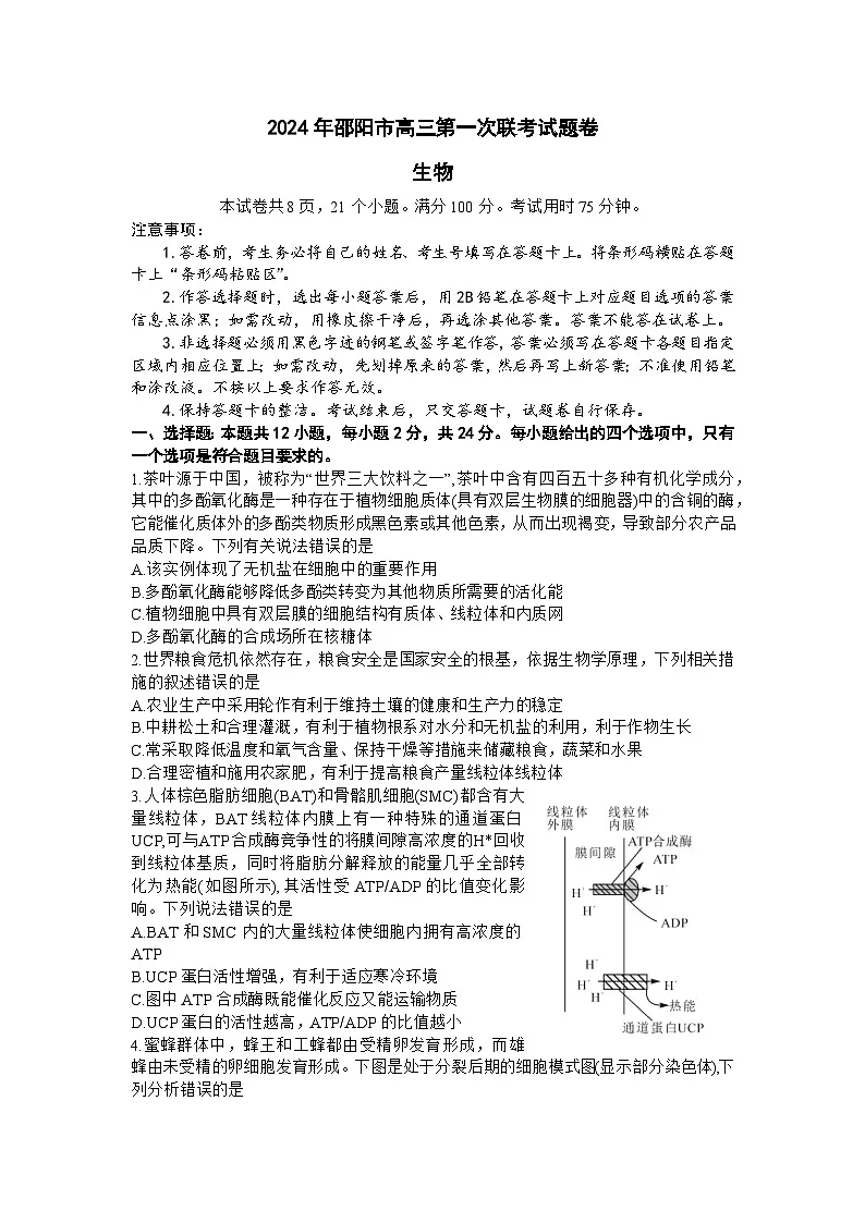 湖南省邵阳市2024届高三上学期第一次联考试题(一模) 生物 含答案第1页