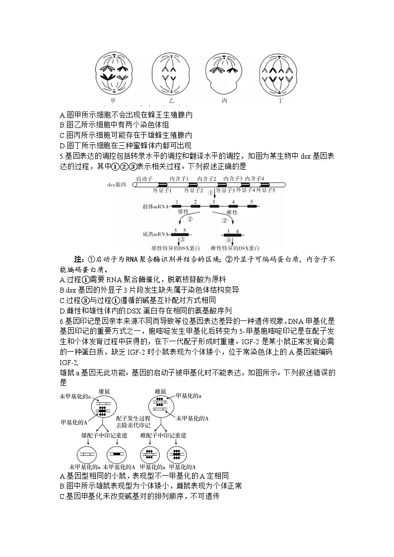 湖南省邵阳市2024届高三上学期第一次联考试题(一模) 生物 含答案第2页