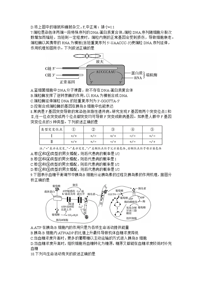湖南省邵阳市2024届高三上学期第一次联考试题(一模) 生物 含答案第3页