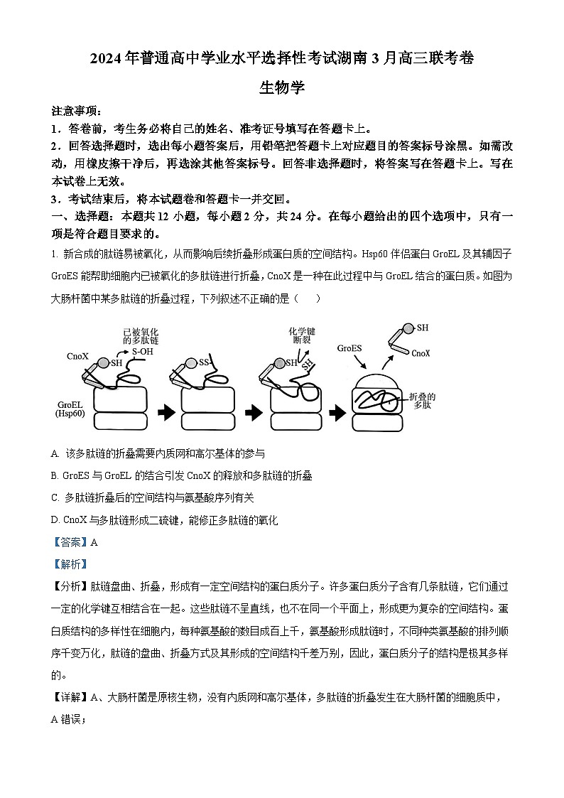 湖南省张家界市2024届高三下学期二模考试生物试题 含解析第1页