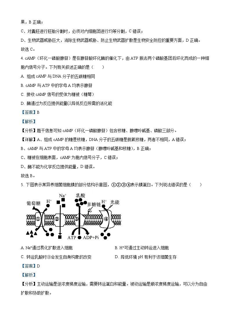 浙江省宁波市镇海中学2024届高三下学期三模生物试题 含解析第3页
