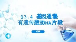 人教版（2019）高中生物必修二第3章基因的本質(zhì)3.4基因通常是有遺傳效應(yīng)的DNA片段 課件