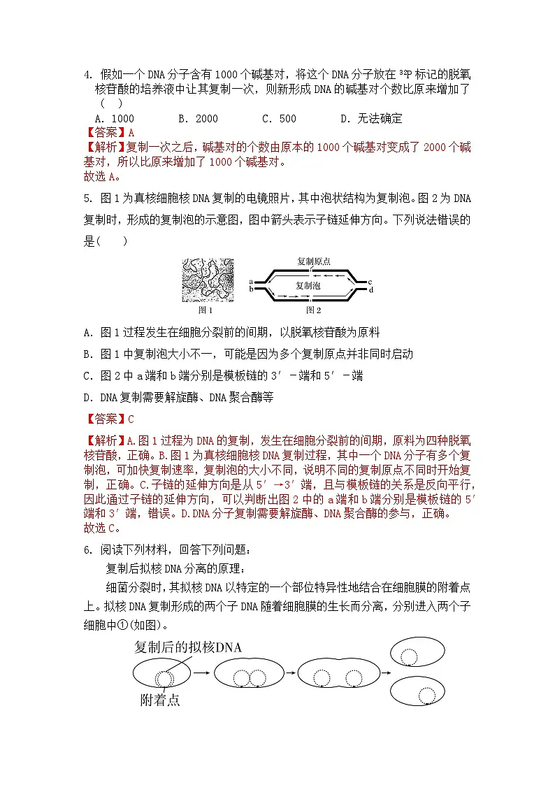 人教版(2019)高中生物必修二第3章基因的本质3.3DNA的复制 分层作业(解析版)第2页