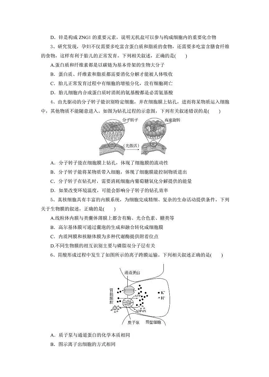 湖北省部分高中协作体2024-2025学年高一下学期4月期中联考生物试题第2页