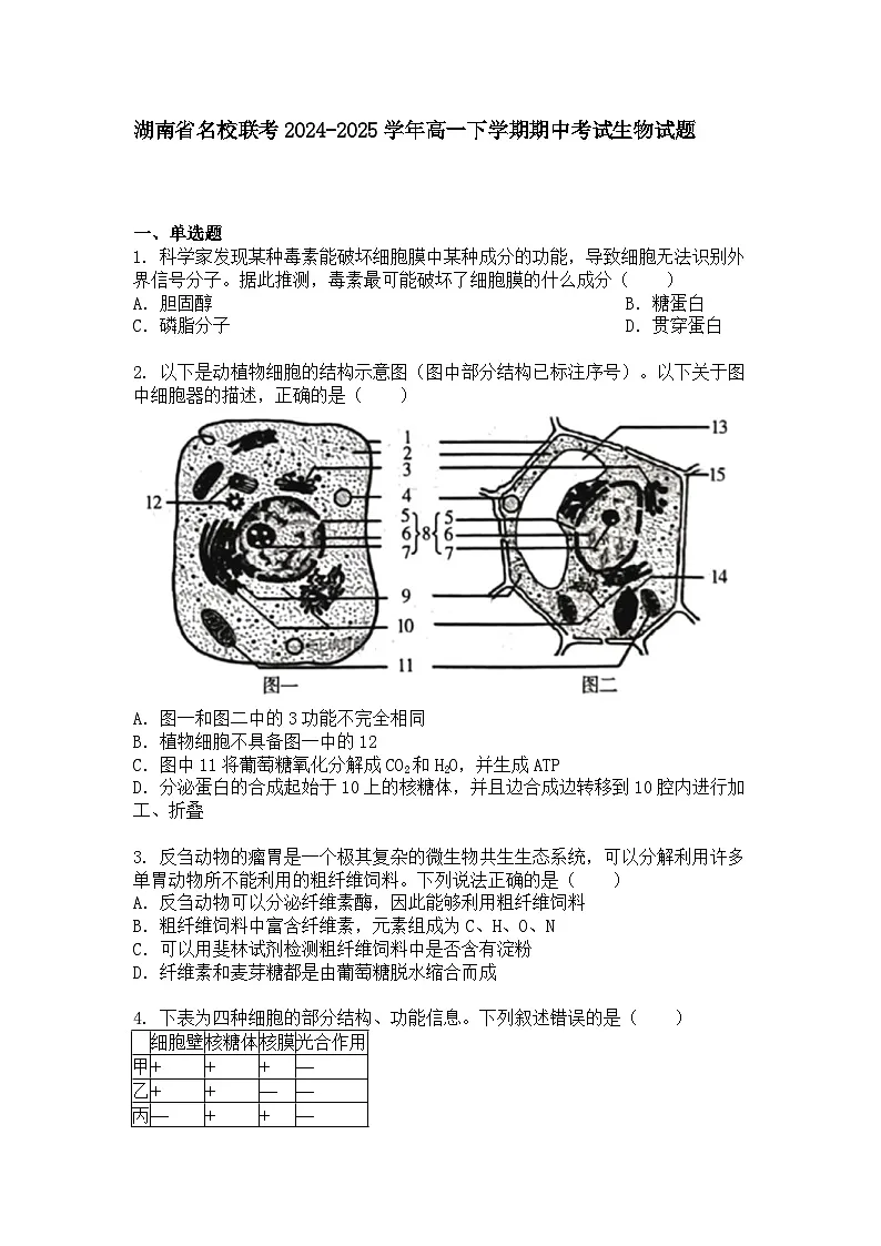 湖南省名校联考2024-2025学年高一下学期期中考试生物试题+答案第1页