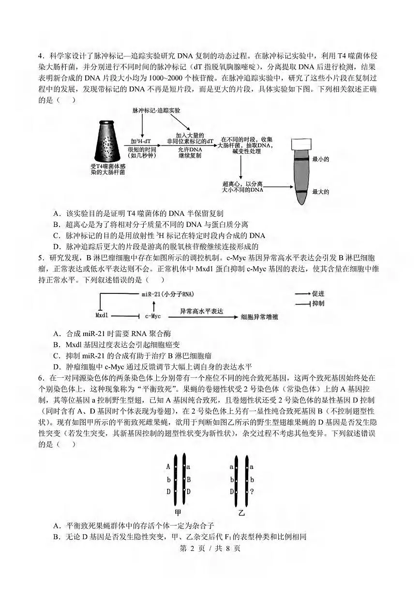 生物丨四川省成都市第七中学高2025届高三下学期三诊模拟考试(成七三诊)生物试卷及答案第2页