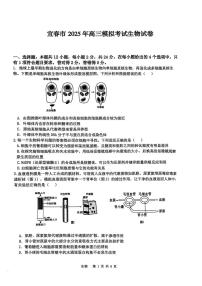 江西省宜春市2025届高三下学期4月模拟考试生物试卷（含答案）